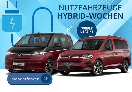 hybrid Neuer SEAT Arona und Ibiza