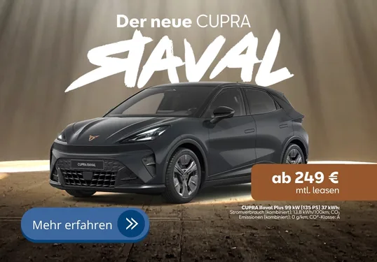 Serviceaktion für ältere Fahrzeuge bei AMB Leipziger Land