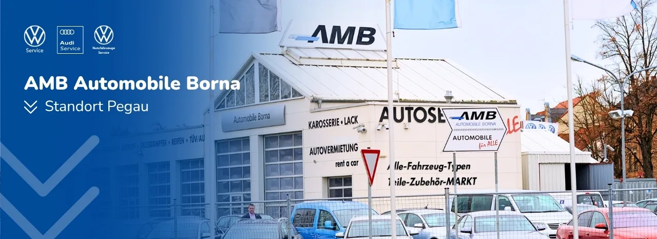 amb-automobile-borna-logo-volkswagen-nutzfahrzeuge-raederservice