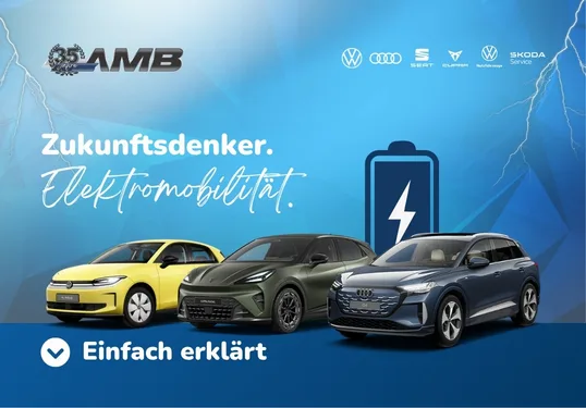 amb-automobile-borna-logo-volkswagen-nutzfahrzeuge-raederservice