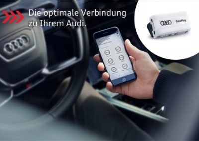 Der Audi Data Plug