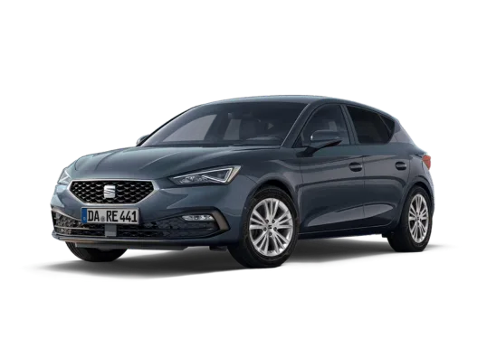 leon Seat Ibiza