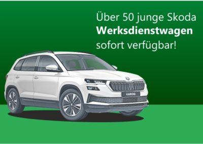 Skoda Werksdienstwagen