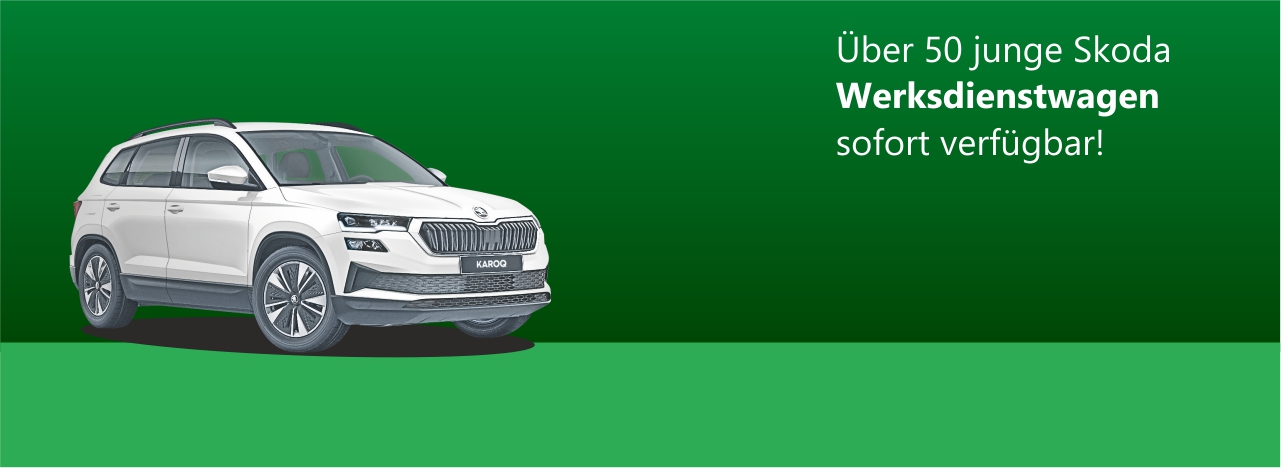 skoda WDW groß