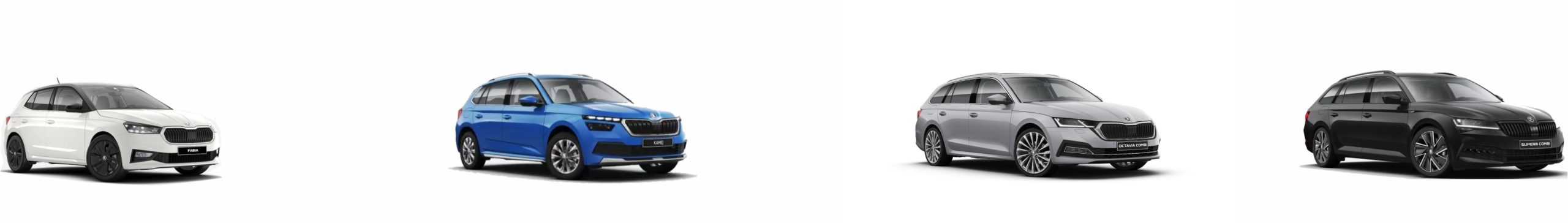 skoda vielfalt