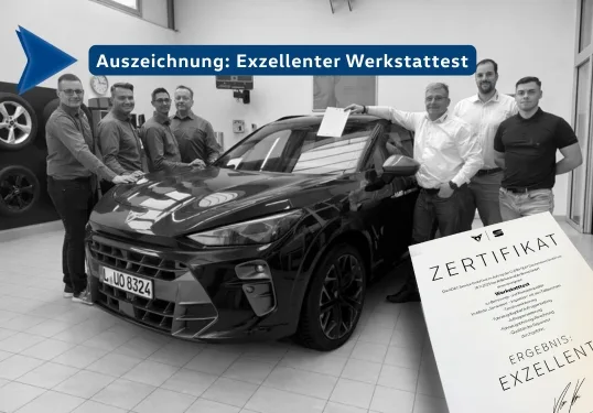 amb-werkstatt-cupra-werkstatttest-mit-mitarbeitern